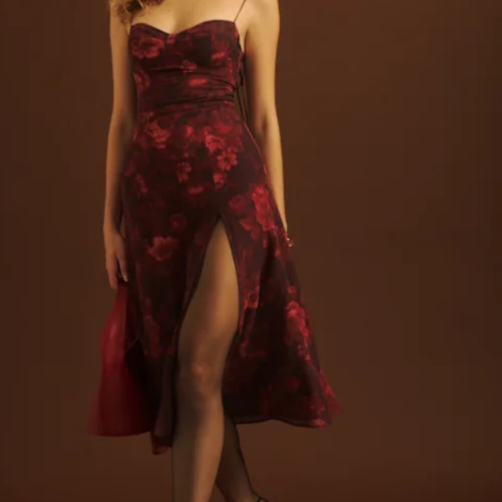 NWT Reformation Juliette Dress in Sanguine